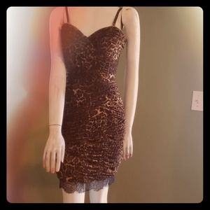 BCBG SUPER SEXY stretchy party dress